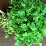 Health benefits Coriander or Cilantro Leaves