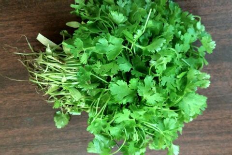 Right time to use coriander leaves