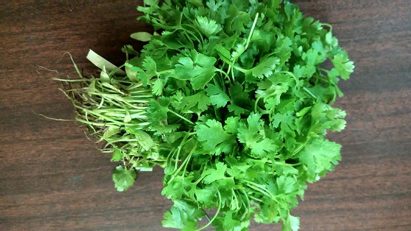 Right time to use coriander leaves